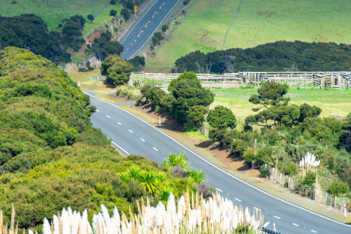 Northland councils complete first round of Head Start decisions